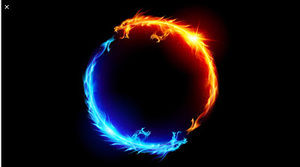 Meet your Posher, Harinder